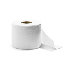 toilet-roll-essential